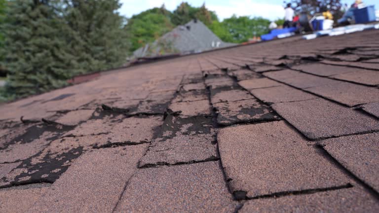 Best Rubber Roofing (EPDM, TPO)  in Pittsfield, MA